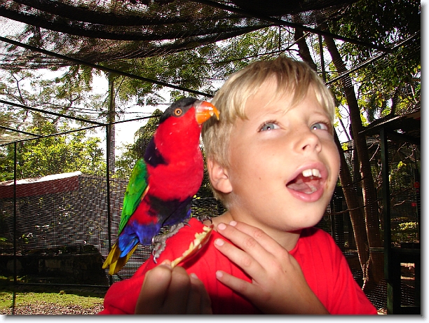 Click for the original image